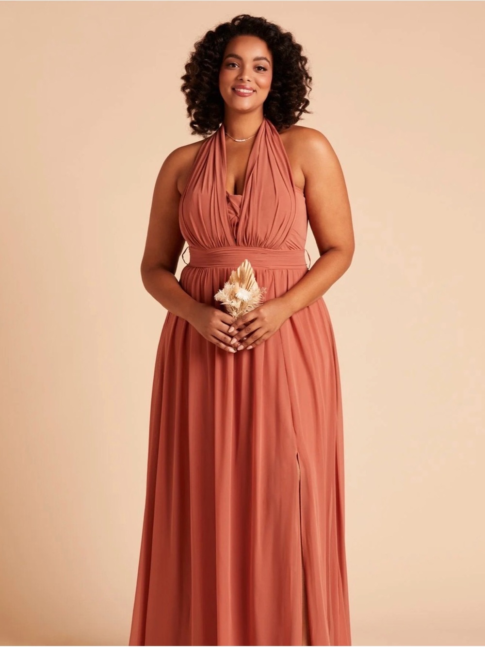 NWT Birdy Grey Grace Chiffon Terracotta Dress